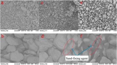 Robinia pseudoacacia sand stabilizer: its sand fixation effects and mechanical properties